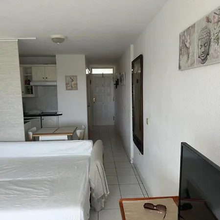 Διαμέρισμα Borinquen Mit Pool Und Meerblick By Interhome Costa Adeje (Tenerife)